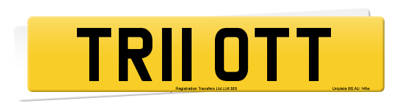 Registration number TR11 OTT